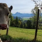 Alpenblick 7, Erholung Pur Im Allgäu Halblech