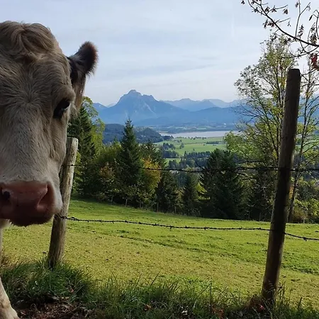Alpenblick 7, Erholung Pur Im Allgaeu Хальблех