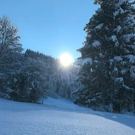 Apartment Alpenblick 7, Erholung Pur Im Allgäu Halblech