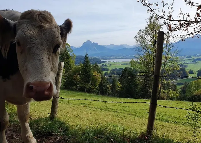 Alpenblick 7, Im Allgaeu, Bergblick Pur - Neueroeffnung! Halblech