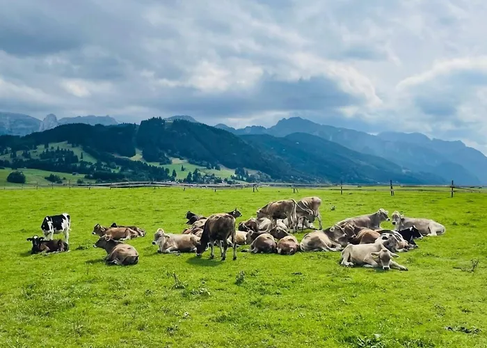 Alpenblick 7, Im Allgäu, Bergblick Pur - Neueröffnung! Apartment Halblech